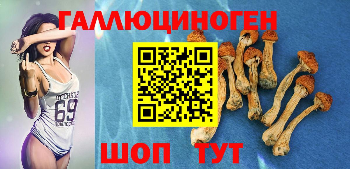 Галлюциногенные грибы мухоморы Курск
