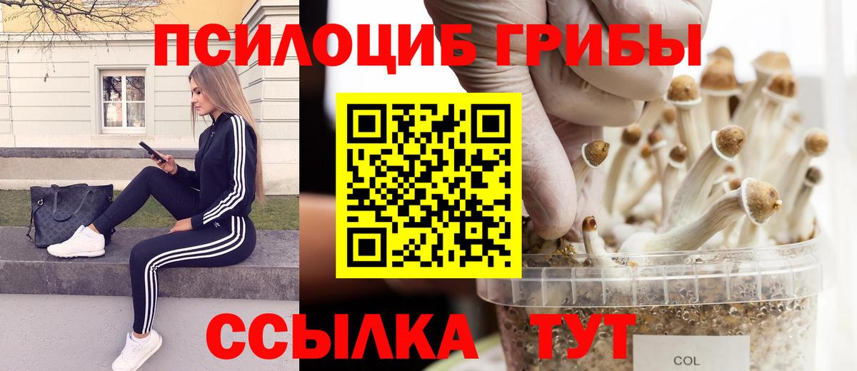 Псилоцибиновые грибы Magic Shrooms  Вход с VPN  Курск 